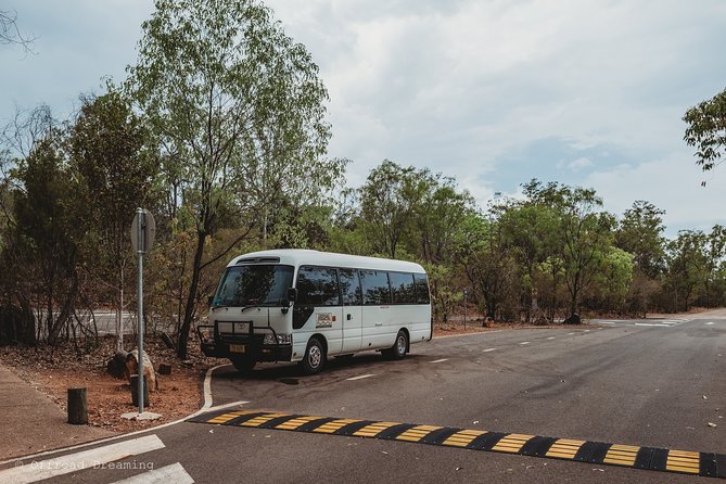 Litchfield Day Tour from Darwin with Offroad Dreaming - Termite mounds: weird engineering that is worth slowing down for