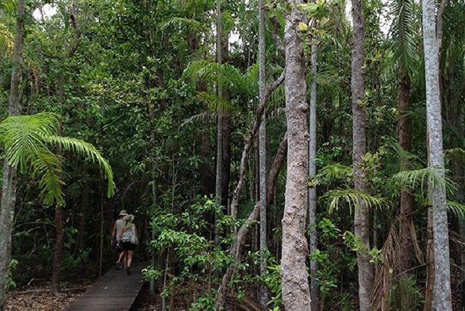 Litchfield National Park and Jumping Crocodile Cruise - Key highlights to watch for