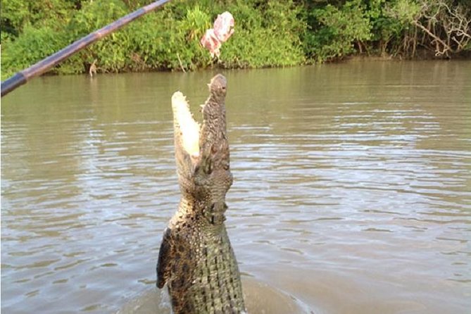Litchfield National Park and Jumping Crocodile Cruise - Who Should Book This Darwin Day Tour?