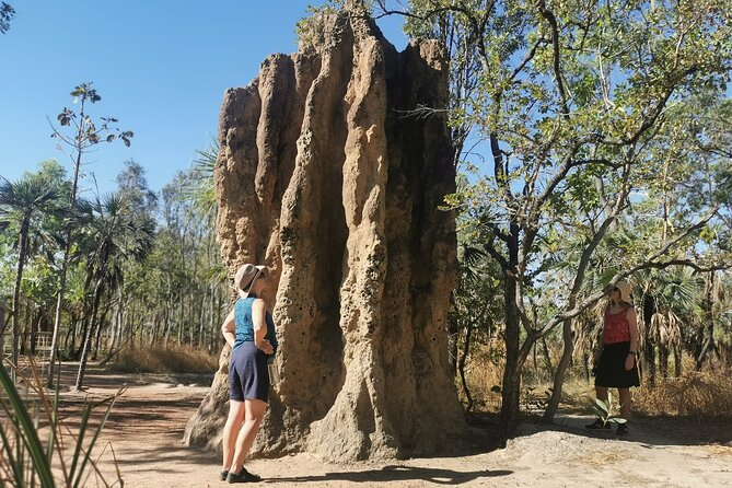 Litchfield National Park Day Tour & Berry Springs, Max 11 Guests - Price and what you really get for $154.21