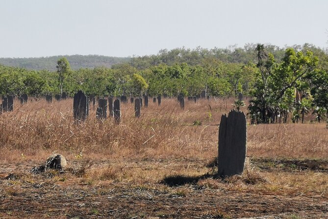 Litchfield National Park Day Tour & Berry Springs, Max 11 Guests - Florence Falls: 1 hour for the double waterfall and the top lookout