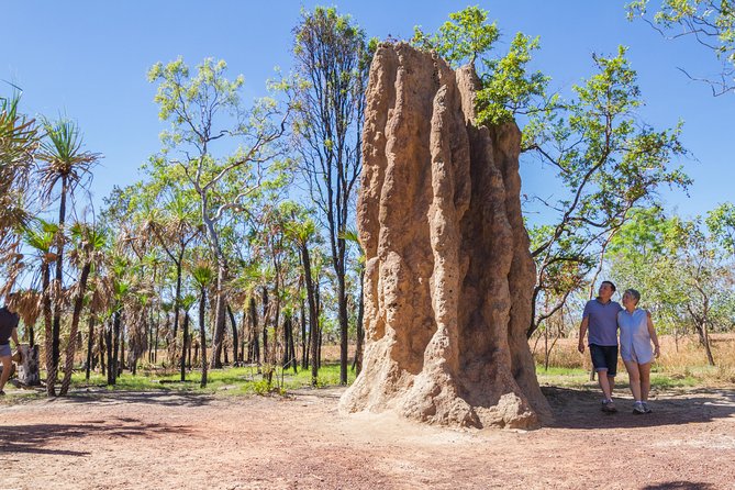 Litchfield National Park Day Tour from Darwin - Howard Springs Nature Park: turtles, barramundi, and a quieter pace
