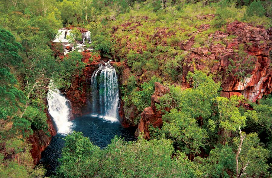 Litchfield National Park: Full-Day & Lunch from Darwin - Should You Book This Litchfield Tour?