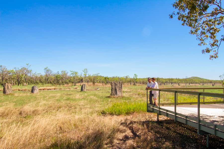 Litchfield National Park: Full-Day & Lunch from Darwin - Darwin to Litchfield, the Coach Ride That Sets You Up