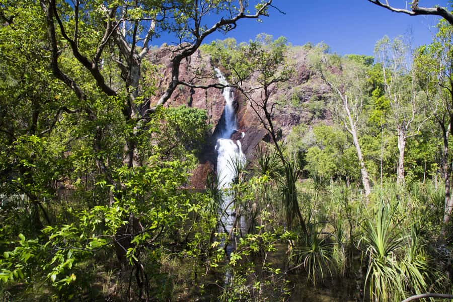 Litchfield National Park: Full-Day & Lunch from Darwin - Lunch, Timing, and What to Pack So the Day Feels Easy