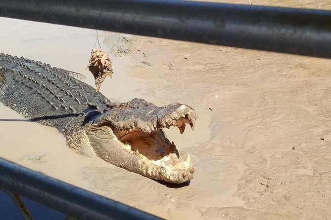 Litchfield National Park Tour with Wetlands or Crocodile Cruise - How This Tour Adds Value for $112.79 (And When It Might Not)