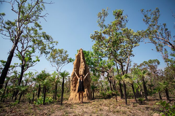 Litchfield National Park Tour with Wetlands or Crocodile Cruise - Adelaide River: Choose the Jumping Croc Cruise or Fogg Dam