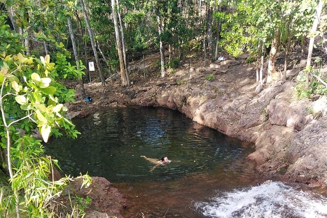 Litchfield Park Adventures + Berry Springs - Key highlights worth your time