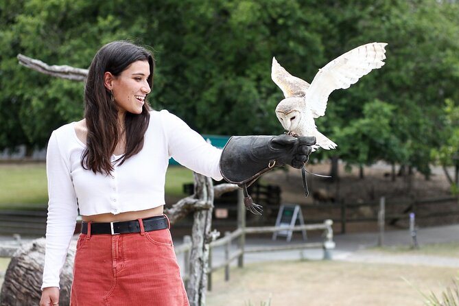 Lone Pine Koala Sanctuary Day Pass - Other animals to look for, beyond the koala spotlight