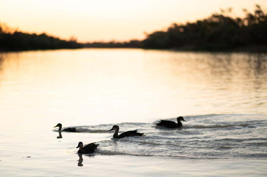Longreach: Drover's Sunset Cruise & Outback Dinner & Show - On Board: Captain’s Stories, Free Nibbles, and the Best Photo Stop
