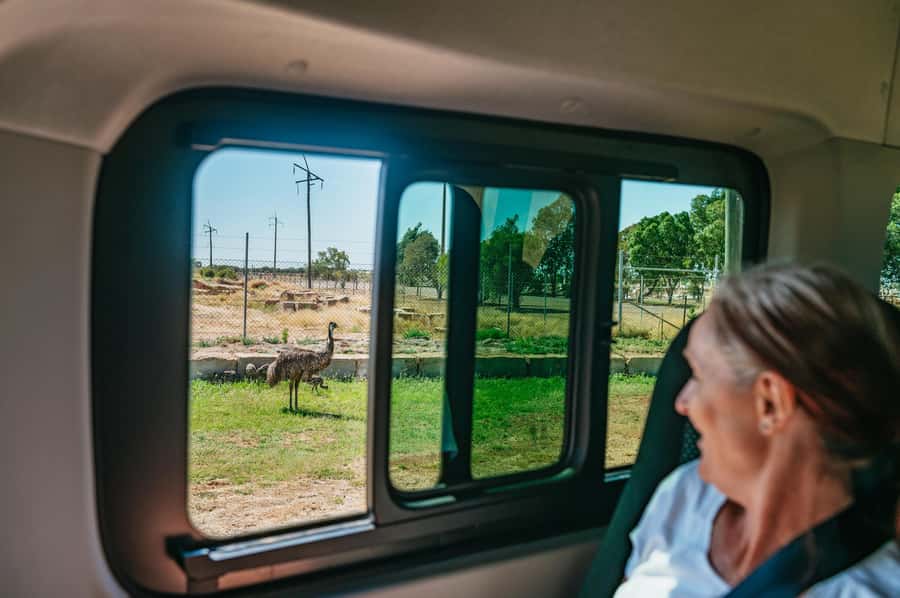 Longreach History and Town Tour - Should you book this 1-hour Longreach History and Town Tour?