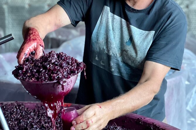 Luke's McLaren Vale Wine Tour - Price and value: $89.66 plus tastings and lunch