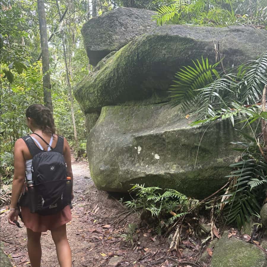Mackay: Finch Hatton Gorge Hike, Swim & Platypus Adventure - Key highlights to plan around