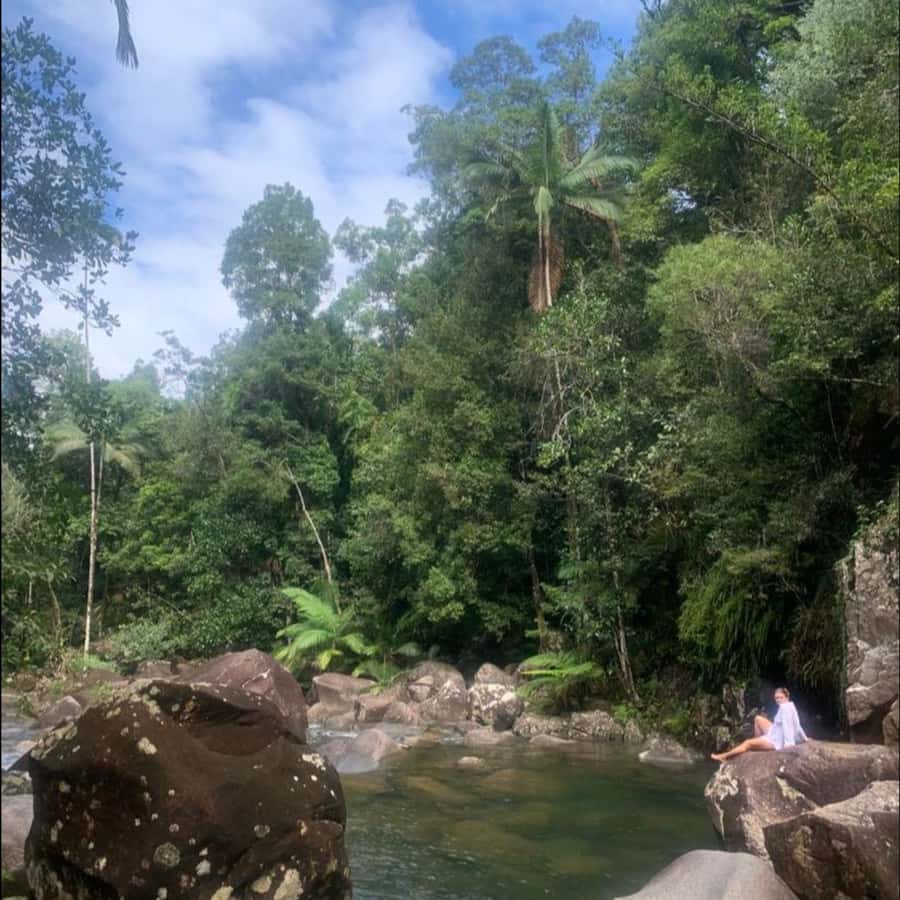 Mackay: Finch Hatton Gorge Hike, Swim & Platypus Adventure - Finch Hatton Gorge and Eungella, in one well-paced day