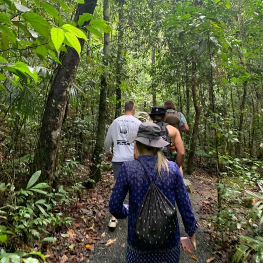 Mackay: Finch Hatton Gorge Hike, Swim & Platypus Adventure - Getting from Mackay to the rainforest, and why the timing matters