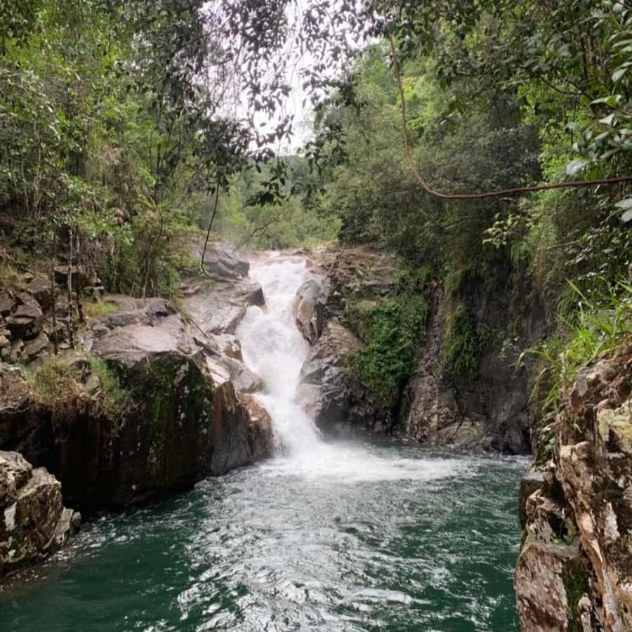 Mackay: Finch Hatton Gorge Hike, Swim & Platypus Adventure - Price and what $119 buys you in 7 hours