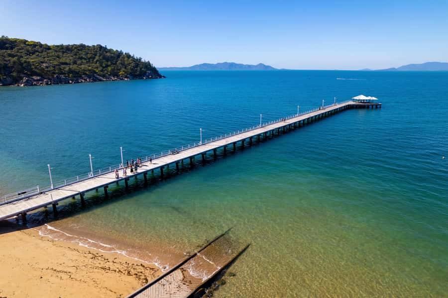 Magnetic Island: Behind the Scenes Tour - Nelly Bay Habitat Reserve and Rocky Bay: your first good views and birdlife
