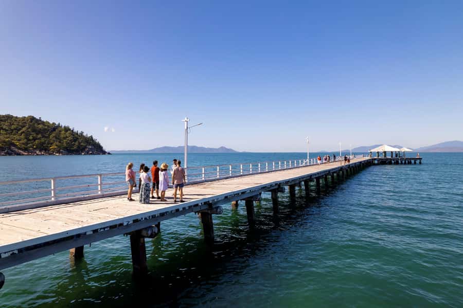 Magnetic Island: Behind the Scenes Tour - Koala conservation and the Bee family visit: the emotional core