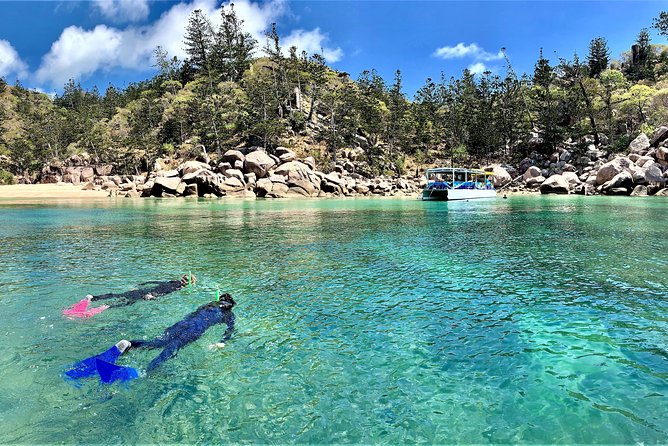 Magnetic Island Discovery Tour with Snorkeling & Paddle Boarding - Key reasons this tour is worth your morning