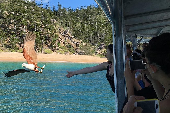 Magnetic Island Discovery Tour with Snorkeling & Paddle Boarding - Stand-Up Paddle Boarding: Fun, Supervised, and Often the Surprise Hit
