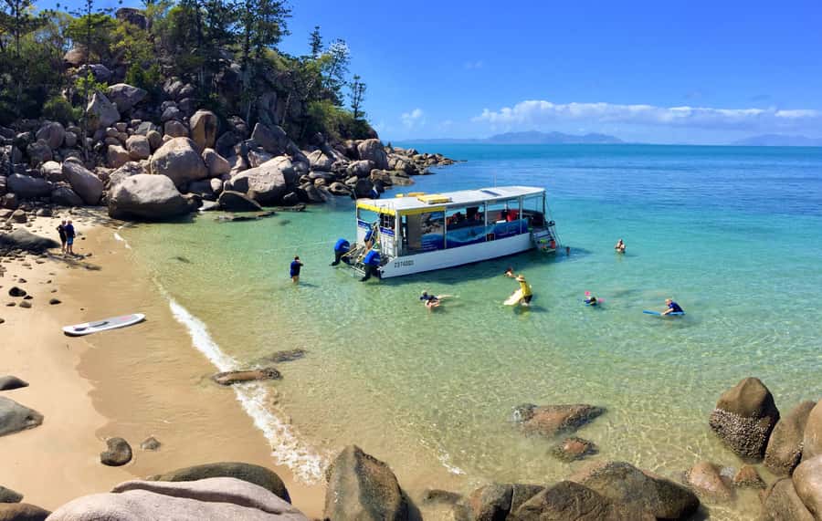 Magnetic Island: Snorkel Discovery Tour - What Makes This Tour Worth Your Time on Magnetic Island