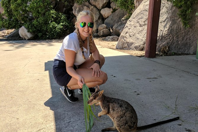 Magnetic Island Tour: Maggie Comprehensive - Key things to know before you go