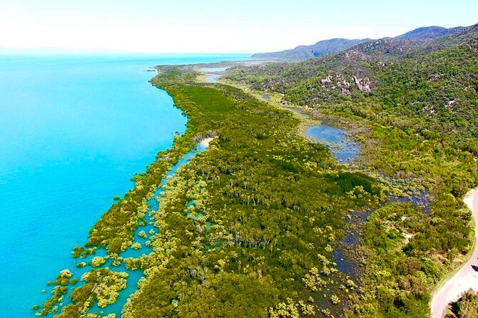 Magnetic Island Tour: Maggie Comprehensive - Picnic Bay Jetty (optional) and Geoffrey Bay wallaby time