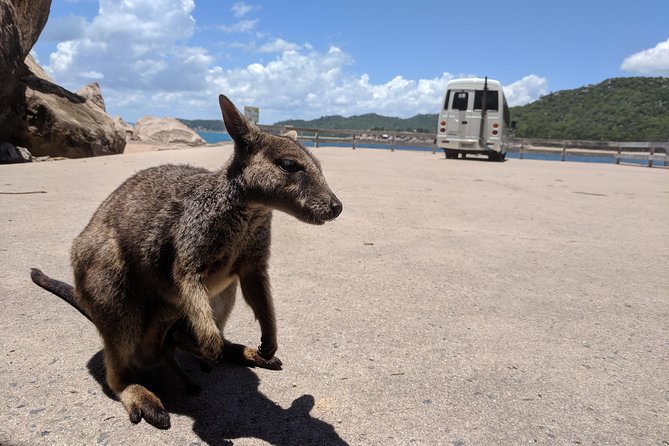 Magnetic Island Tour: Maggie Comprehensive - Timing, duration, and how you start at Nelly Bay