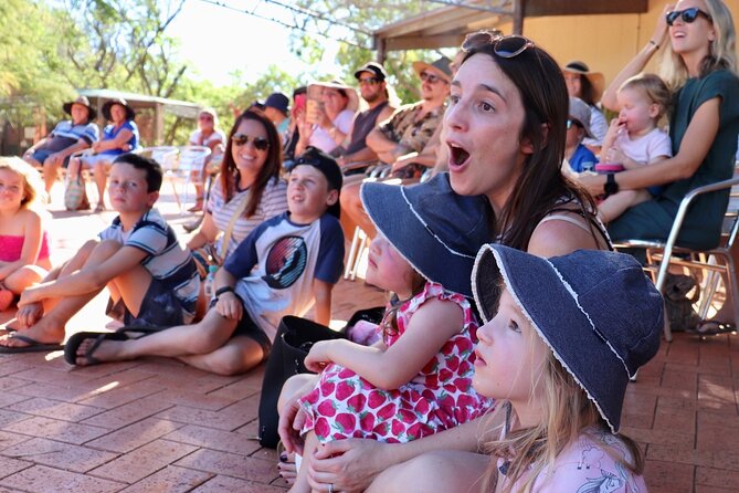 Malcolm Douglas Crocodile Park Tour Including Transportation - Price and timing: what $57.38 gets you in about 3 hours