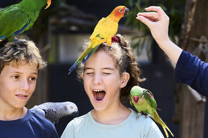 Maleny Botanic Gardens Bird Aviary Experience Ticket - Maleny Botanic Gardens Bird Aviary: what you’re really paying for