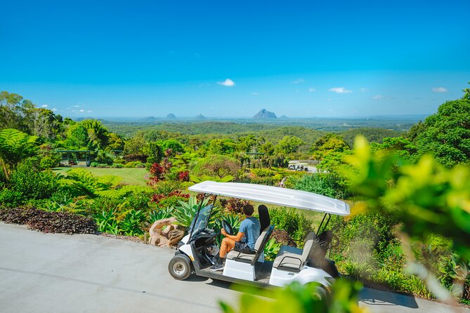 Maleny Botanic Gardens Bird Aviary Experience Ticket - Where to eat: picnic gazebos and the mountains view