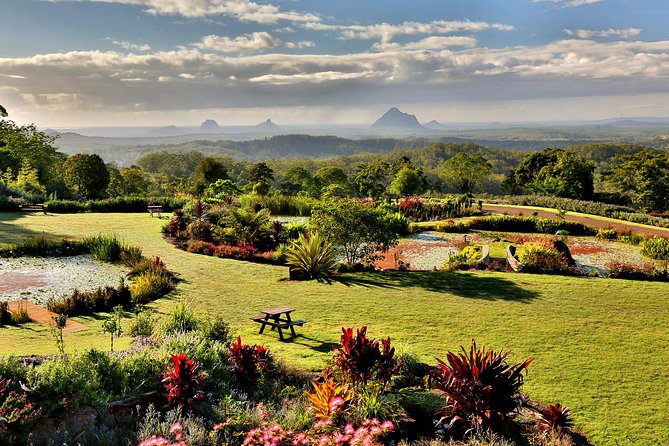 Maleny Botanic Gardens Bird Aviary Experience Ticket - Who should book this bird aviary ticket (and who might hesitate)