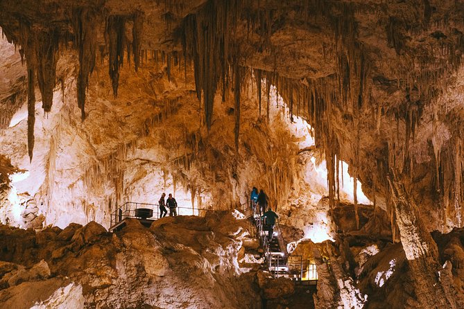 Mammoth Cave Self-guided Audio Tour (Located in Western Australia) - Mammoth Cave in Margaret River: why this cave is worth your time