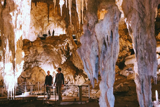 Mammoth Cave Self-guided Audio Tour (Located in Western Australia) - After you exit: the visitor area and a bush walk loop