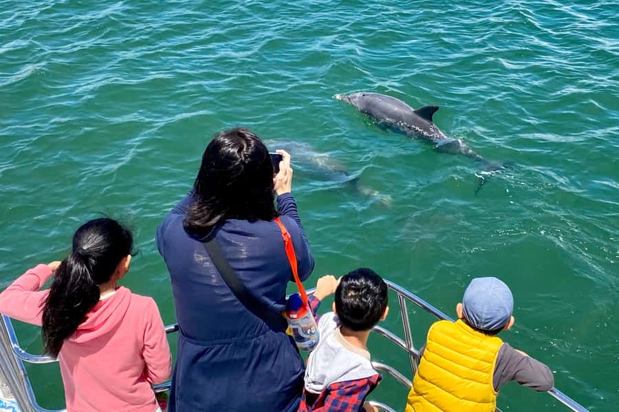 Mandurah: Dolphin and Views Cruise - Kids on board: deck gadgets that actually keep attention