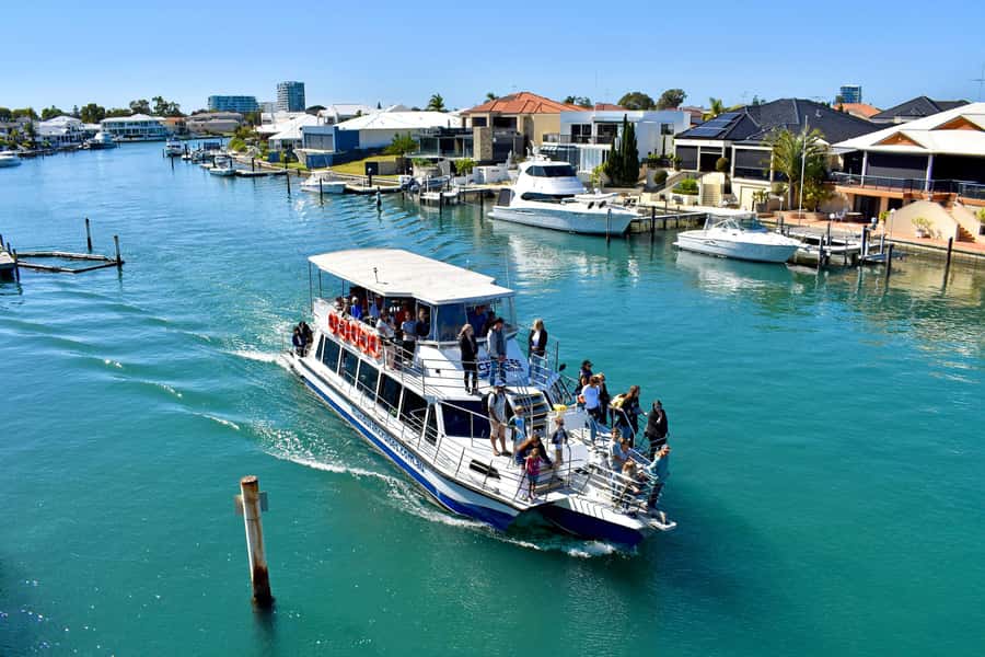 Mandurah: Dolphin and Views Cruise - The dolphin guarantee: how it changes your planning