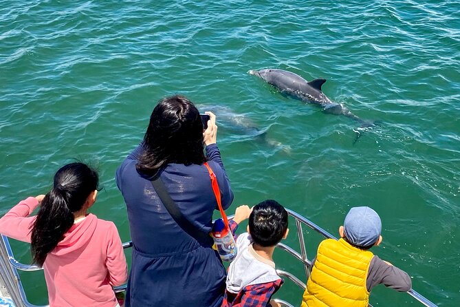 Mandurah Dolphin Cruise and Views - Peel-Harvey estuary scale: seeing why the dolphins live here