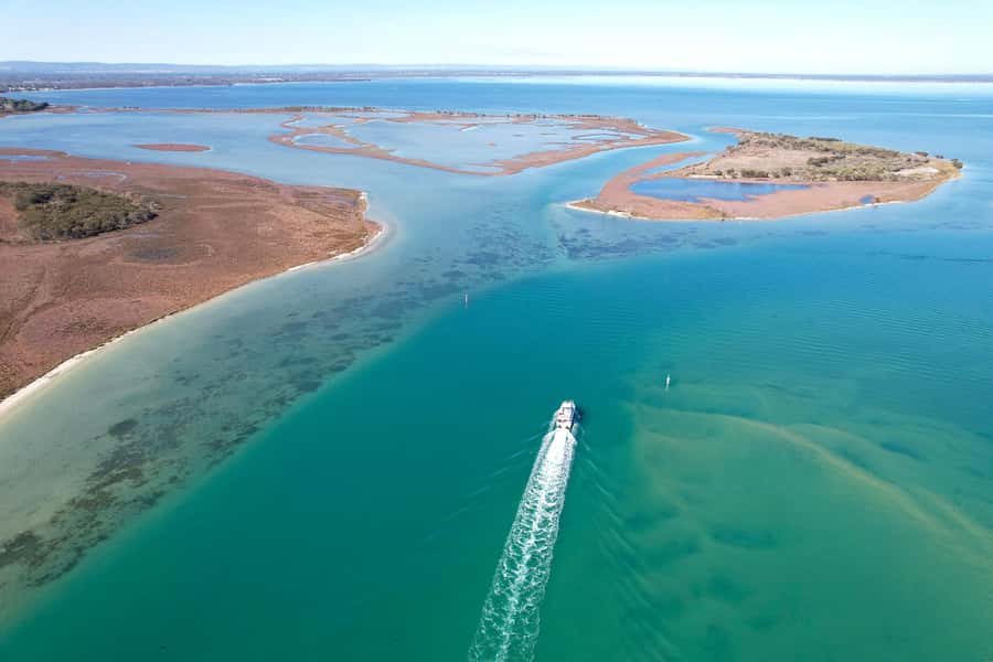 Mandurah: Dolphin & Giant Sightseeing Cruise - The Route: Estuary, Wetlands, and Birdlife Breaks