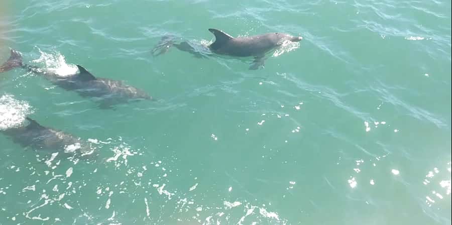 Mandurah Pirate Cruise - The Water Ride Itself: Eastern Foreshore to Canal Views