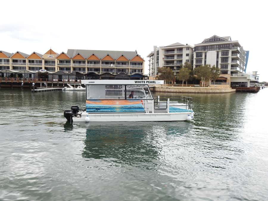 Mandurah: Sightseeing Dolphin Cruise with Tour Guide - What the White Pearl boat experience feels like in one hour