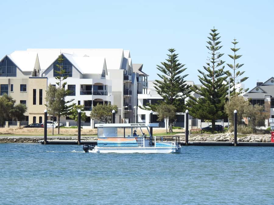 Mandurah: Sightseeing Dolphin Cruise with Tour Guide - Dolphin chances: how to maximize your odds without stressing out