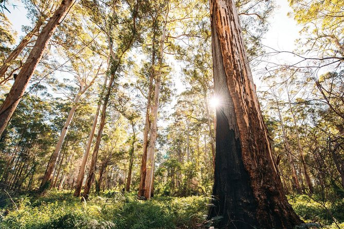 Margaret River 3 Day Escape - The Value Pitch: What This Package Includes (and Why It Costs That Much)
