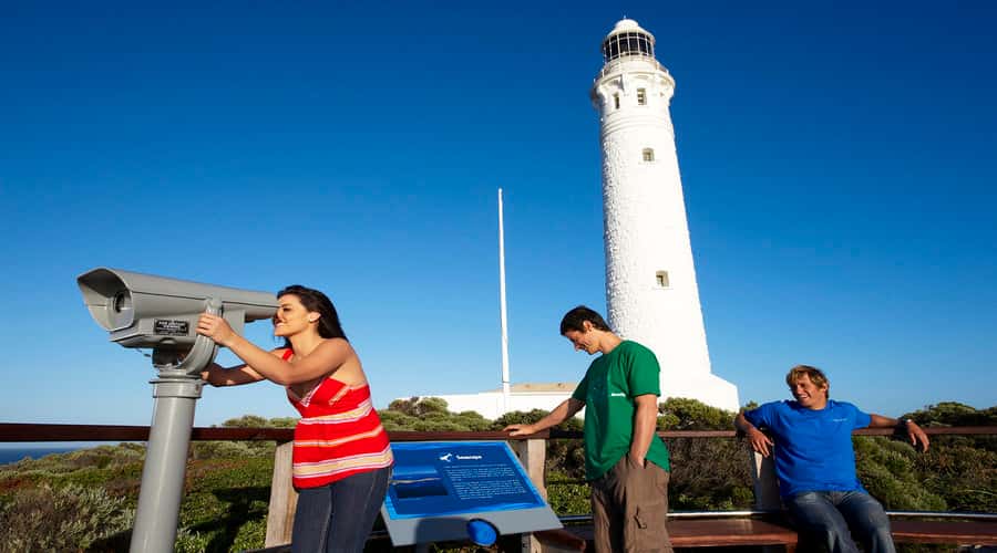 Margaret River and Busselton Jetty: Day Trip from Perth - The Perth Pickup to Busselton Rhythm: Comfort, Timing, and Commentary