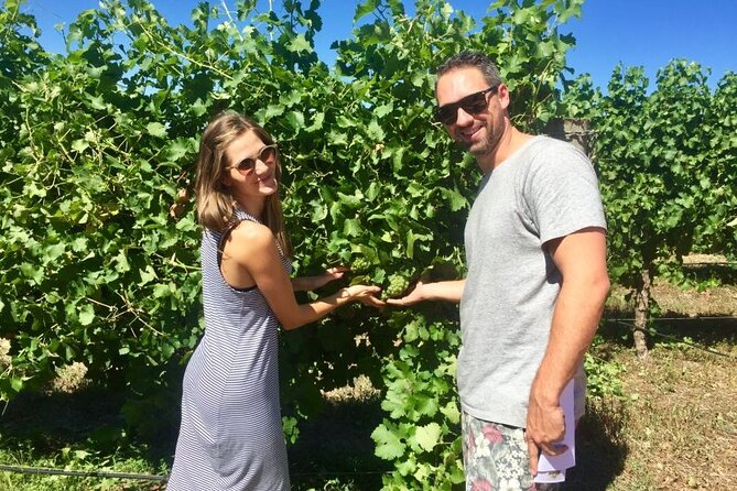 Margaret River Beer & Wine Adventure (departs Dunsborough/Busselton) - Caves Road cruise, your quick primer on the region
