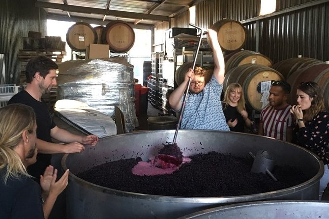 Margaret River Beer & Wine Adventure (departs Margaret River) - Key highlights you will actually feel during the day
