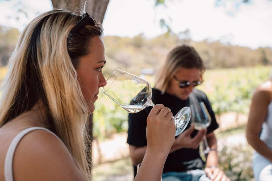 Margaret River: Boutique Wine Tour w. Blind Tasting + Lunch - Price and Value for $112 in Six Hours