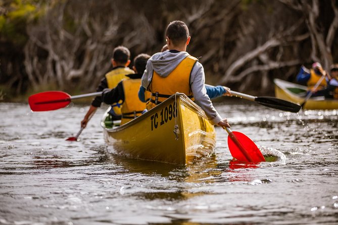Margaret River Canoe Tour Including Australian Wild Food Lunch - Key highlights worth waking up for