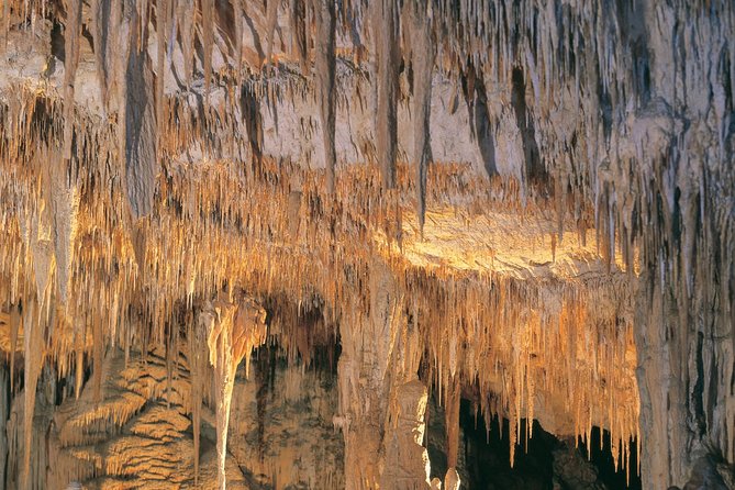 Margaret River, Caves, Wine and Cape Leeuwin Lighthouse Tour from Perth - The Perth-to-Margaret River loop, and why it fits a single day