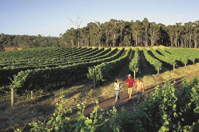Margaret River, Caves, Wine and Cape Leeuwin Lighthouse Tour from Perth - Price and what you actually get for $179.31