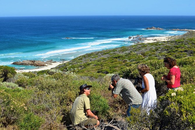 Margaret River Coastal and Wildlife Eco Trip from Busselton or Dunsborough - Key moments that make this trip worth your time